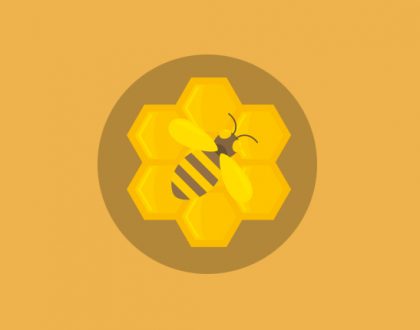 Рассказы пчеловодов о своей пасеке и методах содержания пчел